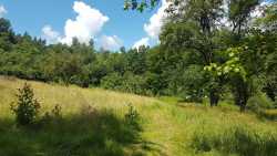 Siary, działka budowlana 0,6 ha, 650S/2020