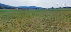  Szalowa, działka rolna 4,5 ha, 1114S/2024S/2024