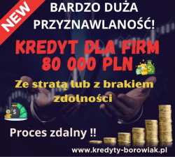 Kredyt dla FIRM 80 000 PLN ze stratą/z brakiem zdo