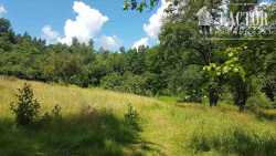 Siary, działka budowlana 0,6 ha, 950S/2020