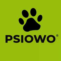 Bieżnia wodna dla psa i kota