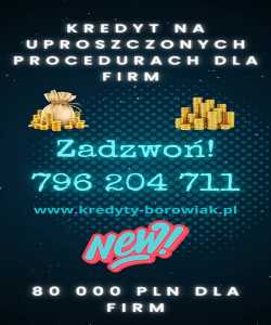 KREDYT DLA FIRM DO 80 000 PLN – NAWET PRZY STRACIE