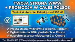 Strona internetowa od 500 PLN z mocną promocją na 