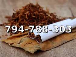 Super Jakości tani TYTOŃ na wagę 110 PLN / 1KG