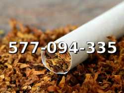 EXTRA Jakości Tani TYTOŃ na wagę 110 PLN / 1KG