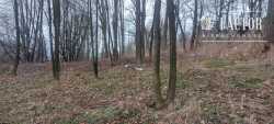 Działka budowlano - rolna 80 arów Sędziszowa 1164S