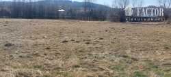Działka rolna 1,3 ha w Racławicach 1189S