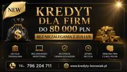 KREDYT BANKOWY DLA FIRM DO 80 000 ZŁ. Proces ON-LI