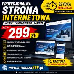 Profesjonalna strona internetowa od 299 zł - FAKTU