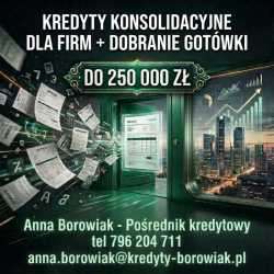 FIRMO, MASZ KILKA ZOBOWIĄZAŃ I WIELE RAT? 