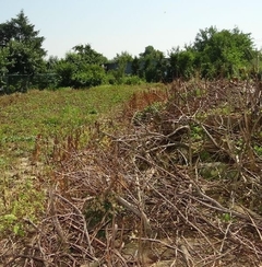 Działka  700m², Skała