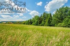 Działka  881m², Uście Gorlickie