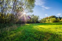 Działka  1081m², Śnietnica