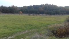 Działka  1528m², Sadowie