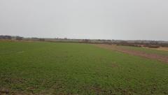 Działka  1930m², Mierzęcice