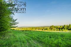 Działka  4351m², Wójtowa