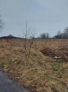 Działka  6370m², Sarnów