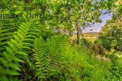 Działka  19700m², Uście Gorlickie