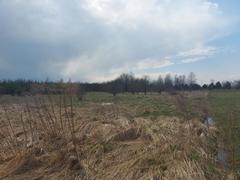 Działka  2655m², Chruszczobród