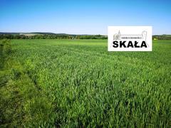 Działka  11100m², Brończyce