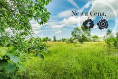 Działka  1800m², Wójtowa