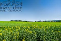 Działka  1507m², Mszanka