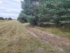 Działka  4270m², Troks