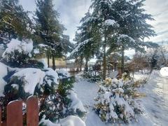 Działka  9894m², Podwarpie