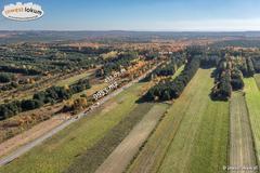 Działka  9953m², Żurada