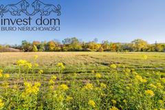 Działka  4867m², Pagorzyna