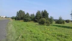 Działka  5520m², Niegowoniczki