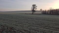 Działka  11764m², Toporowice