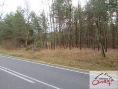 Działka  12418.00m², Podlesice
