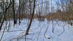 Działka  3629m², Będzin