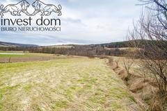 Działka  2900m², Wapienne