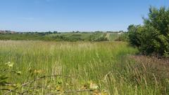 Działka  900m², Sadowie