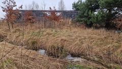 Dom  261m², Wojsławice