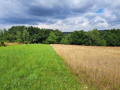 Działka  700m², Świńczów