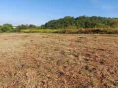 Działka  2330m², Sarnów