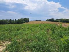 Działka  2900m², Skała
