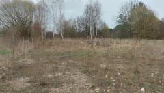 Działka  1250m², Tąpkowice