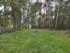 Działka  900m², Ożarowice