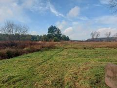 Działka  15751m², Chruszczobród