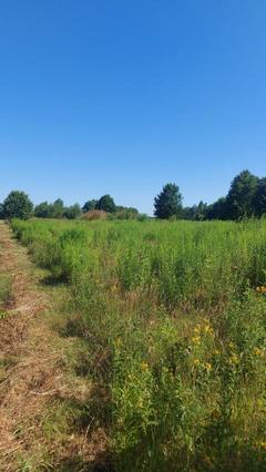 Działka  6830m², Wojsławice