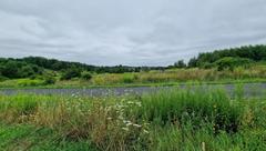 Działka  800m², Sadowie