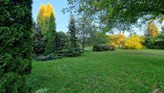 Działka  1645m², Wysoka