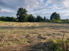 Działka  706m², Dąbrowa Górnicza Sikorka