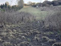 Działka  785m², Dąbie