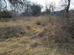 Działka  1200m², Cianowice