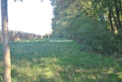 Działka  11600m², Gdów 